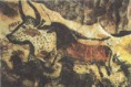 /album/fotogaleria-fotogaleria/a7-jpg/